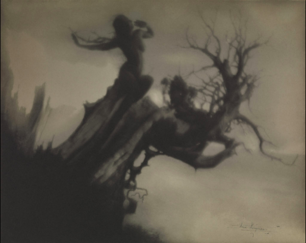 Anne Brigman, the storm tree 1911.